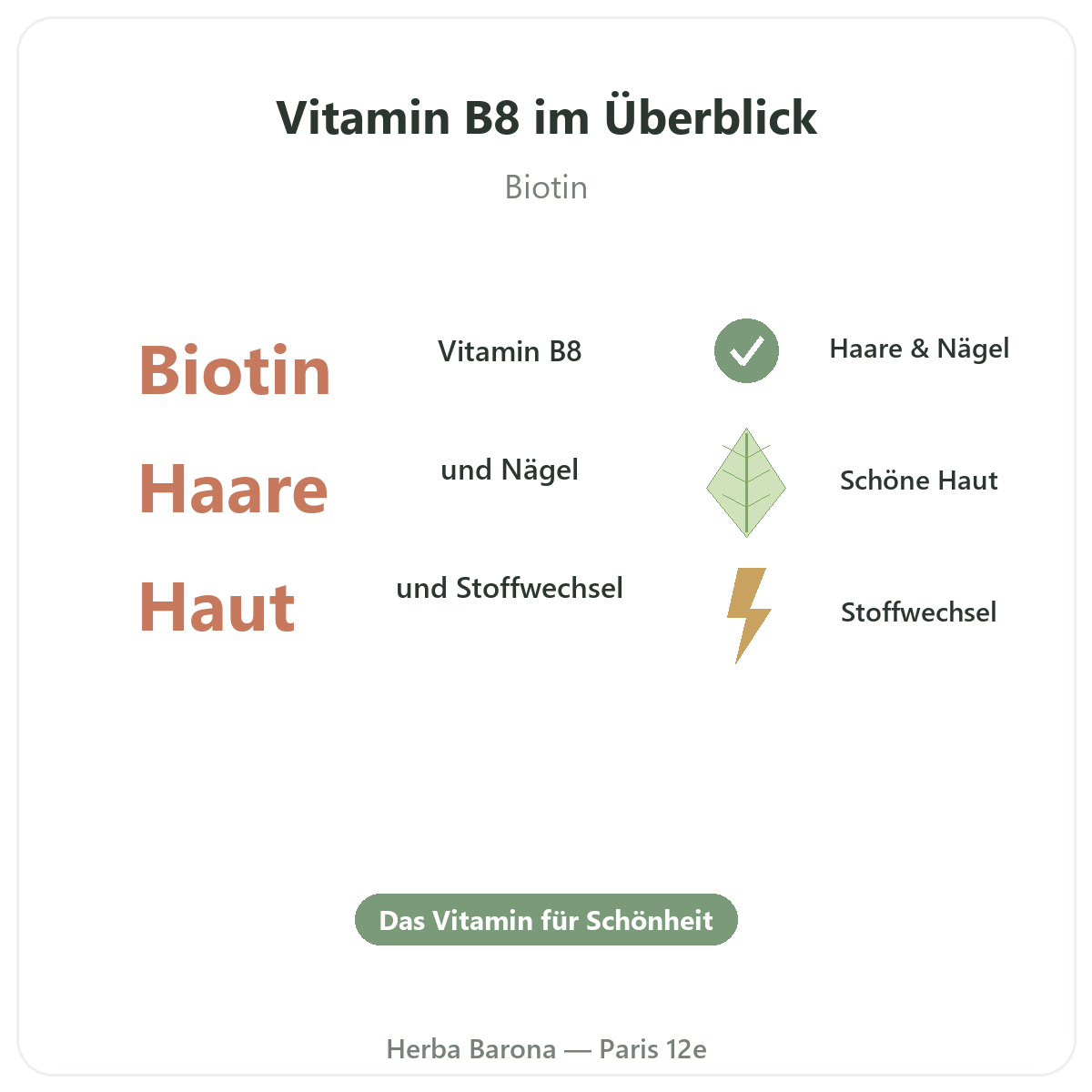 Vitamin B8 Paris auf einen Blick - wichtige Zahlen bei Herba Barona Paris 12e