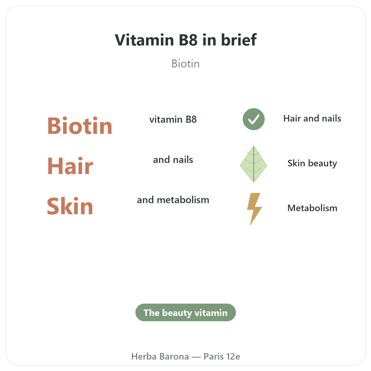 Vitamine B8 Paris Paris en bref - chiffres cles chez Herba Barona Paris 12e