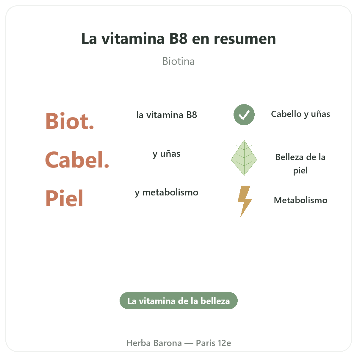 Vitamina B8 en París en pocas palabras - cifras clave en Herba Barona Paris 12e