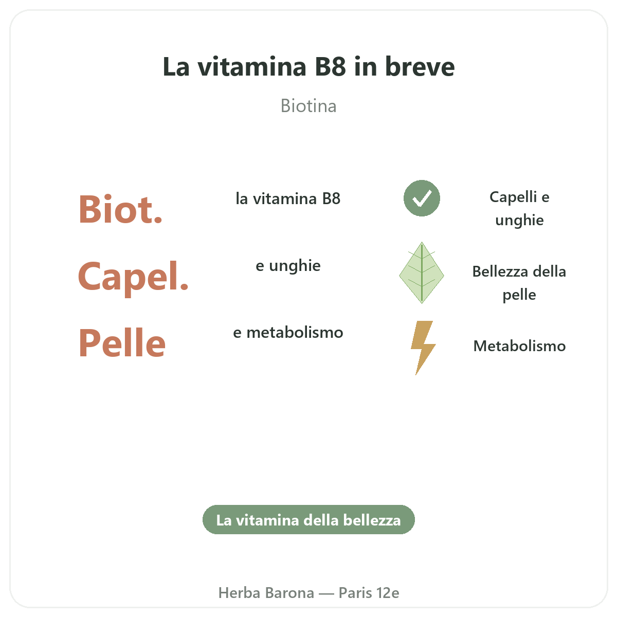 Vitamine B8 Paris Paris en bref - chiffres cles chez Herba Barona Paris 12e