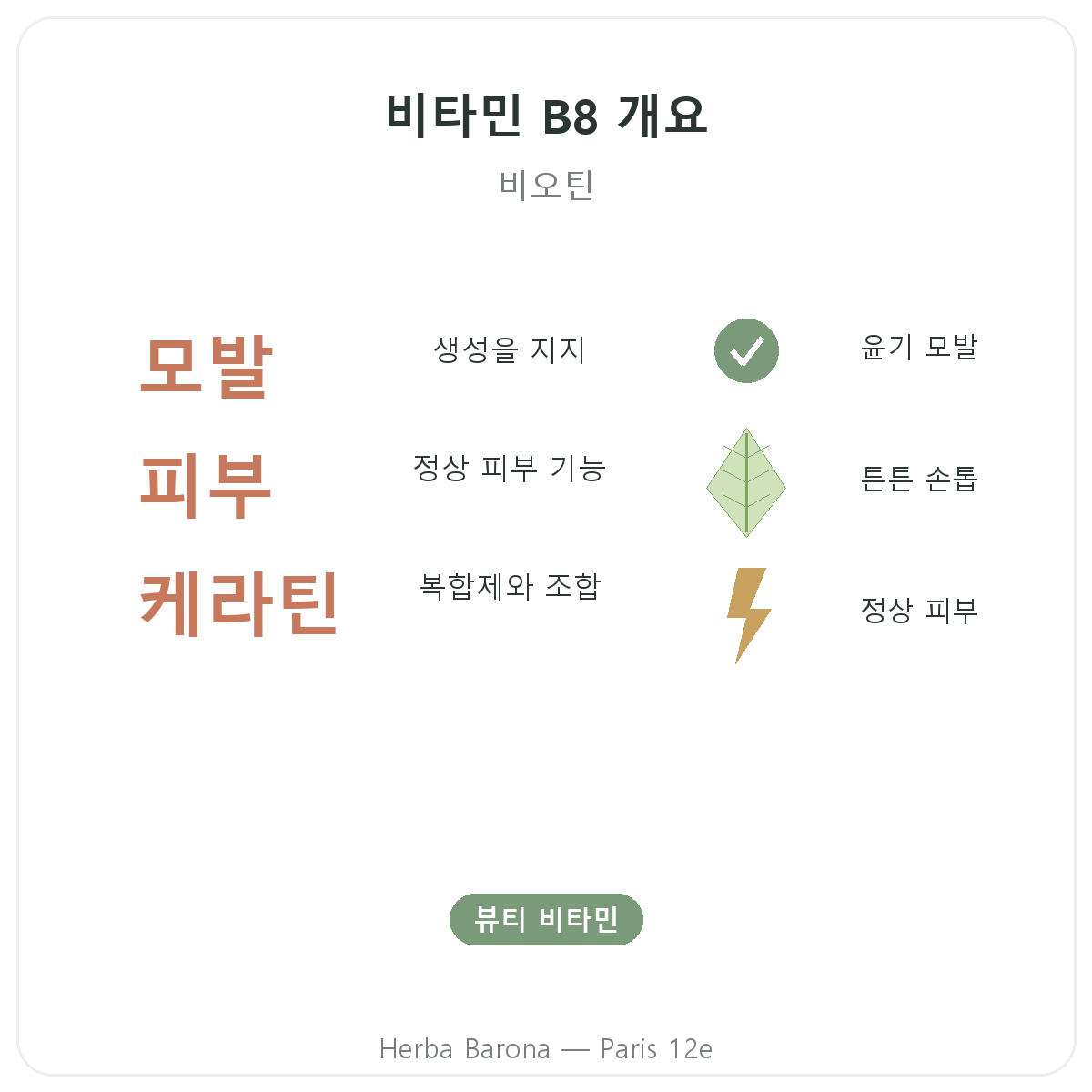 비타민 B8 파리 요약 정보 - 파리 12구 Herba Barona 주요 수치