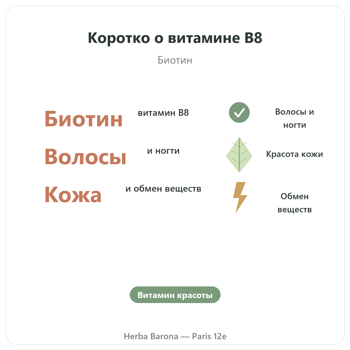 Витамин B8 Париж, Париж — кратко, ключевые цифры в Herba Barona, Париж, 12-й округ