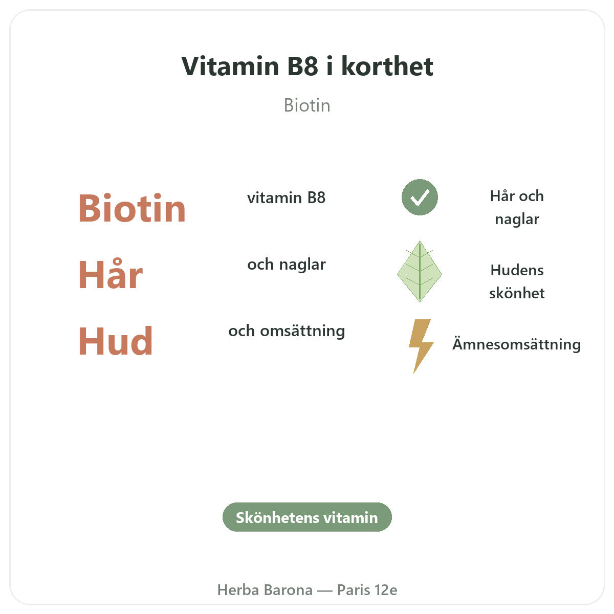 Vitamin B8 Paris Paris i korthet – nyckeltal hos Herba Barona Paris 12e