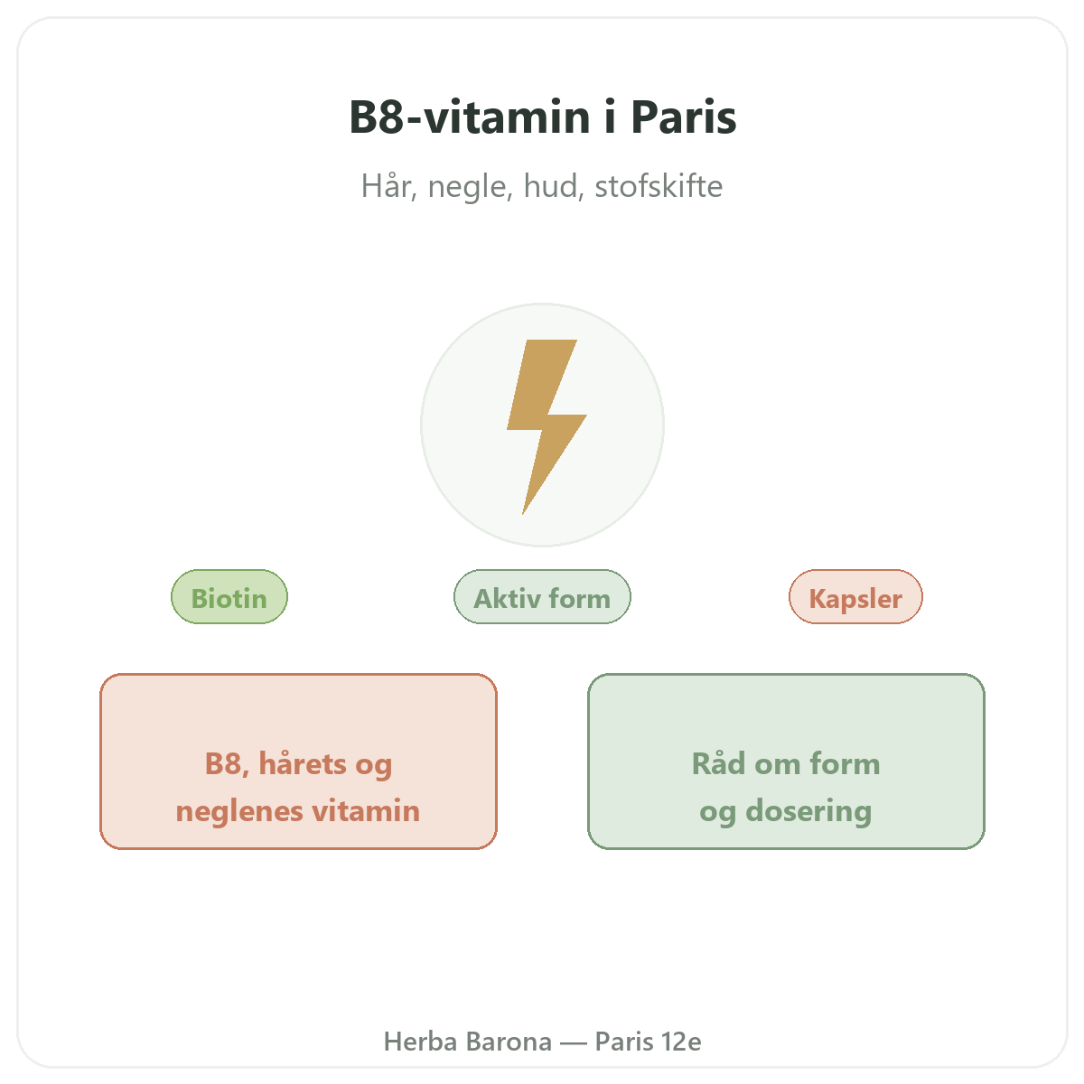 Vitamin B8 Paris Paris - præsentation af mærket hos Herba Barona Paris 12