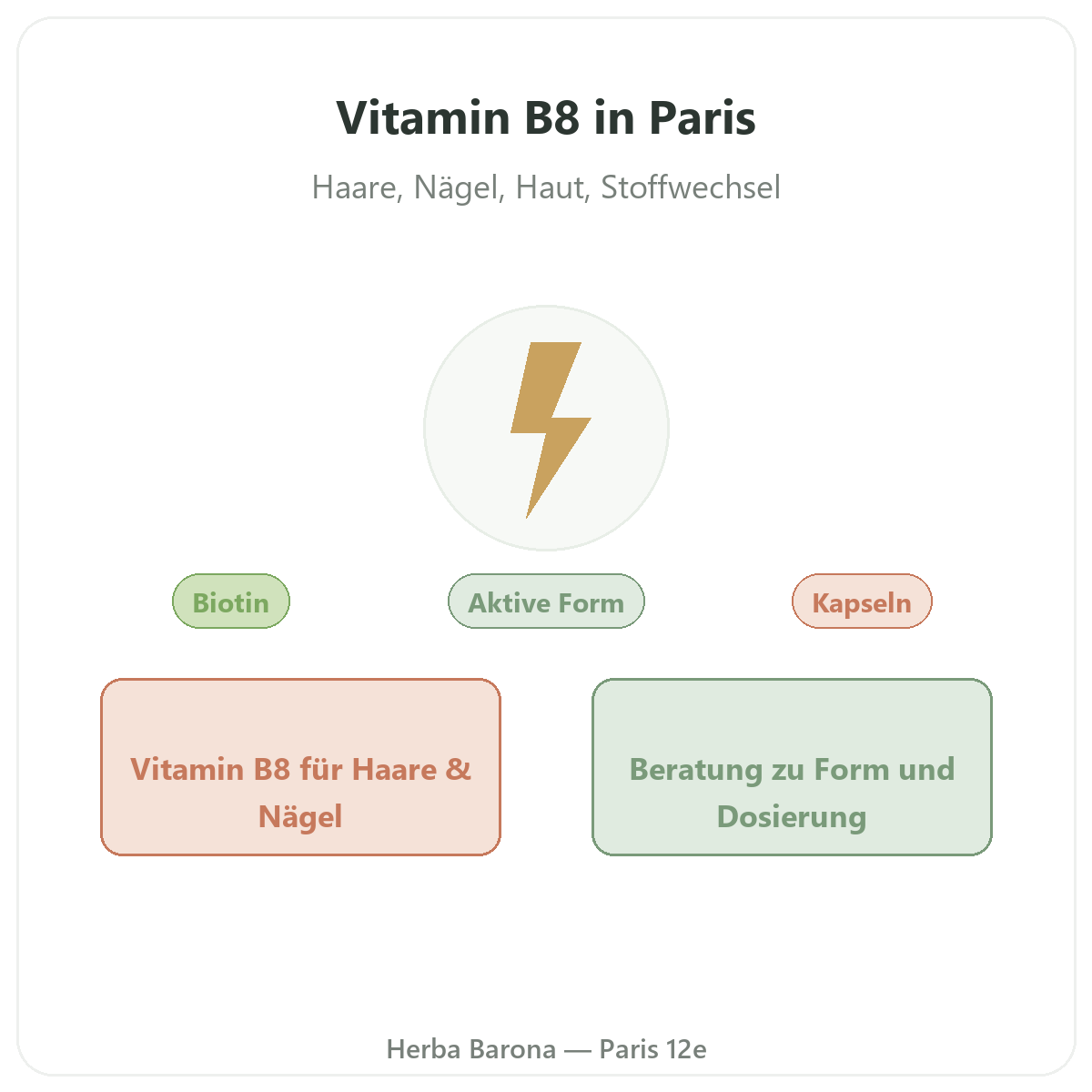 Vitamin B8 Paris - Markenvorstellung bei Herba Barona Paris 12e