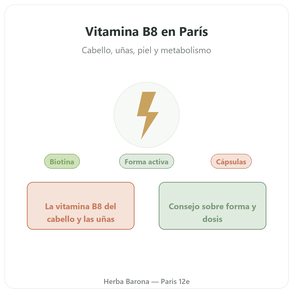 Vitamina B8 en París - presentación de la marca en Herba Barona Paris 12e