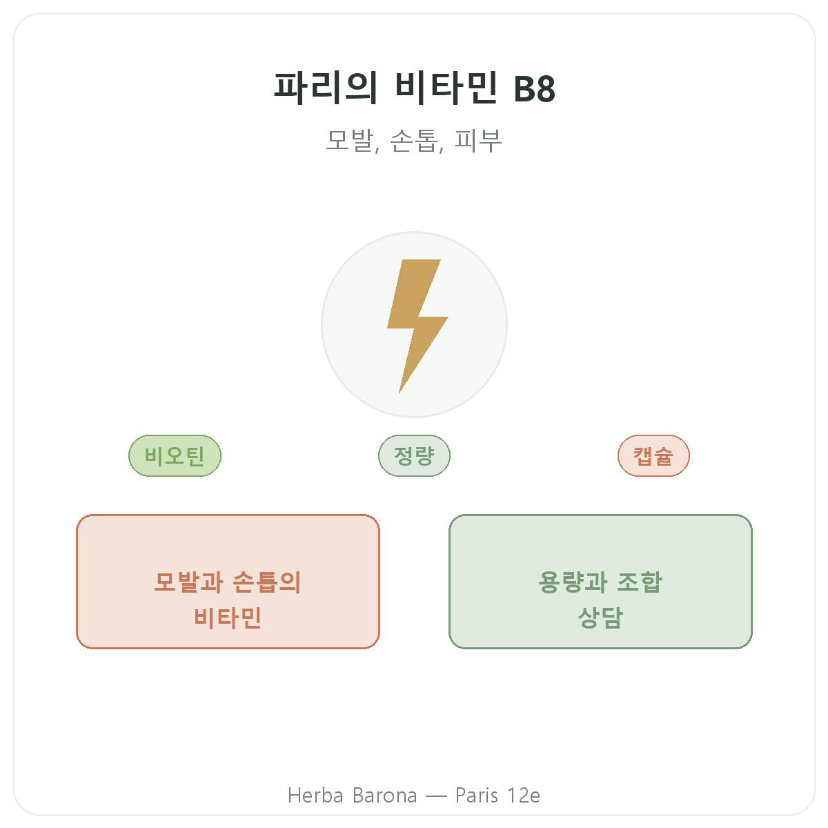 비타민 B8 파리 - 파리 12구 Herba Barona 브랜드 소개