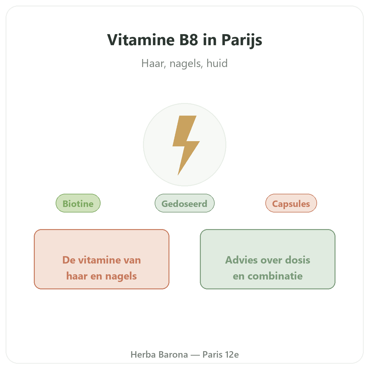 Vitamine B8 Parijs - voorstelling van het merk bij Herba Barona Parijs