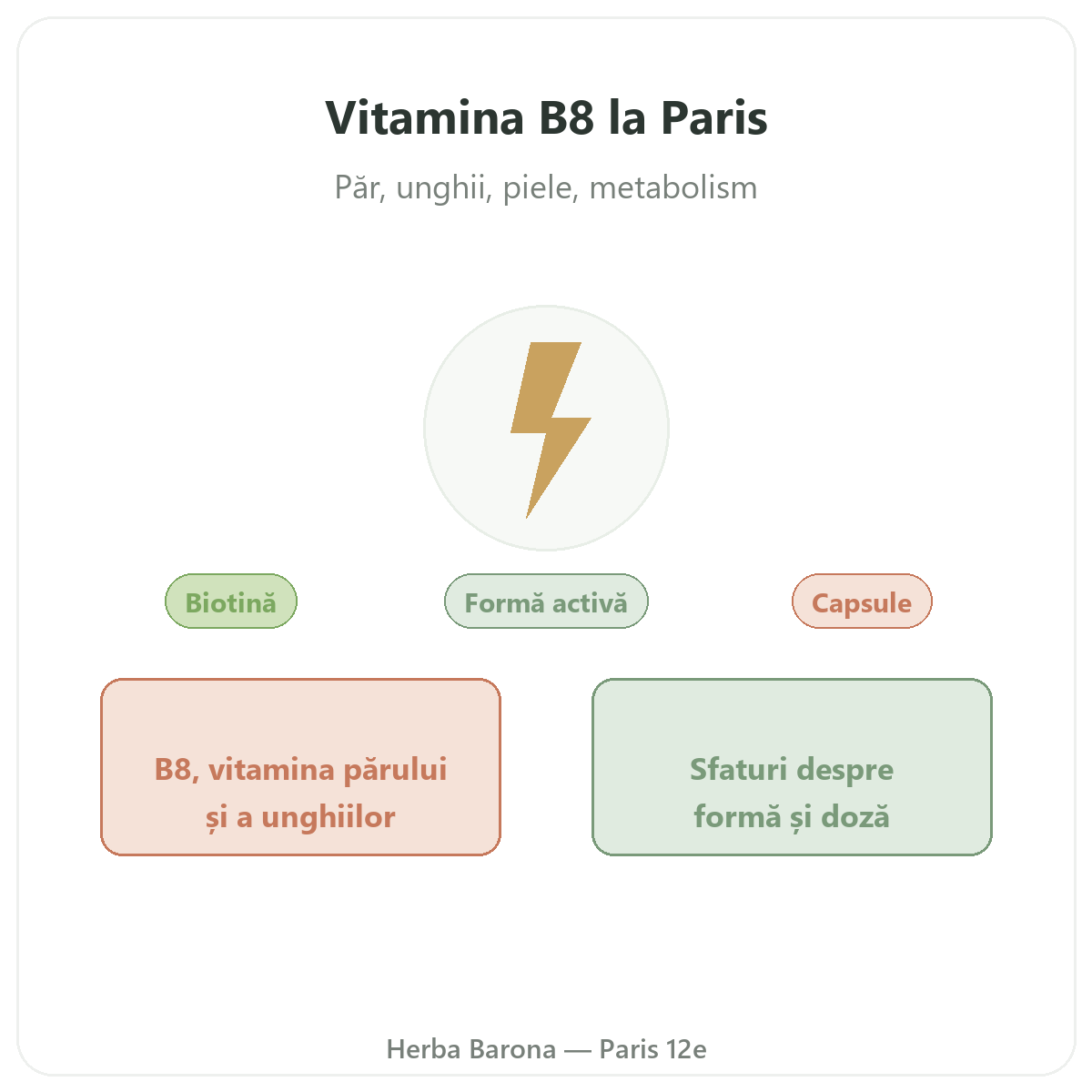 Vitamina B8 Paris - prezentarea mărcii la Herba Barona Paris, arondismentul 12