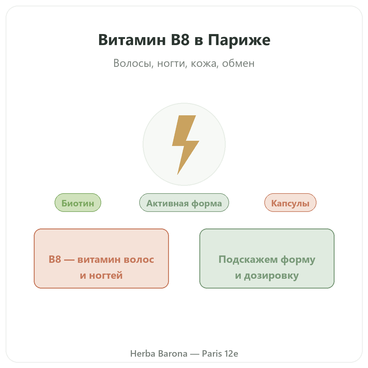 Витамин B8 Париж, Париж — презентация бренда в Herba Barona, Париж, 12-й округ