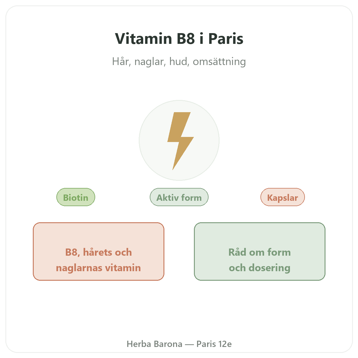 Vitamin B8 Paris Paris – presentation av varumärket hos Herba Barona Paris 12e