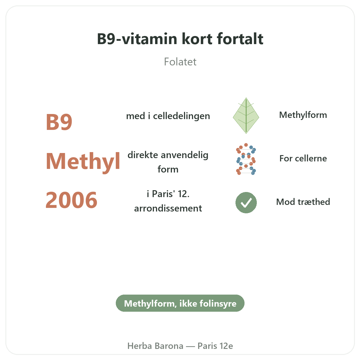 Vitamin B9 Paris Paris i korte træk - nøgletal hos Herba Barona Paris 12