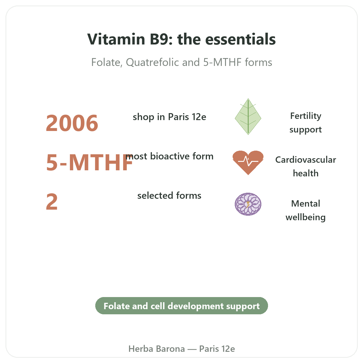 Vitamin B9 in Paris at a glance - key figures at Herba Barona Paris 12th