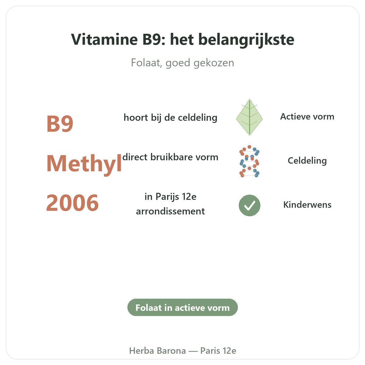 Vitamine B9 in Parijs in het kort - kerncijfers bij Herba Barona Parijs 12e