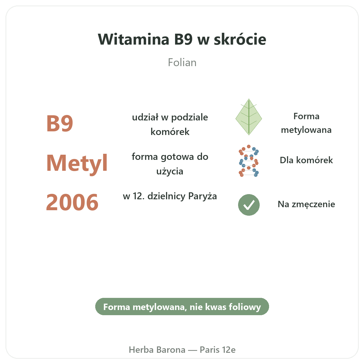Witamina B9 w Paryżu w skrócie - kluczowe liczby u Herba Barona Paryż 12