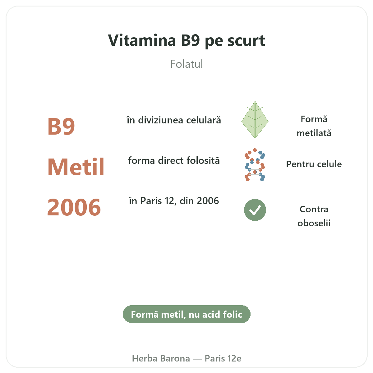 Vitamina B9 Paris pe scurt - cifre cheie la Herba Barona Paris, arondismentul 12