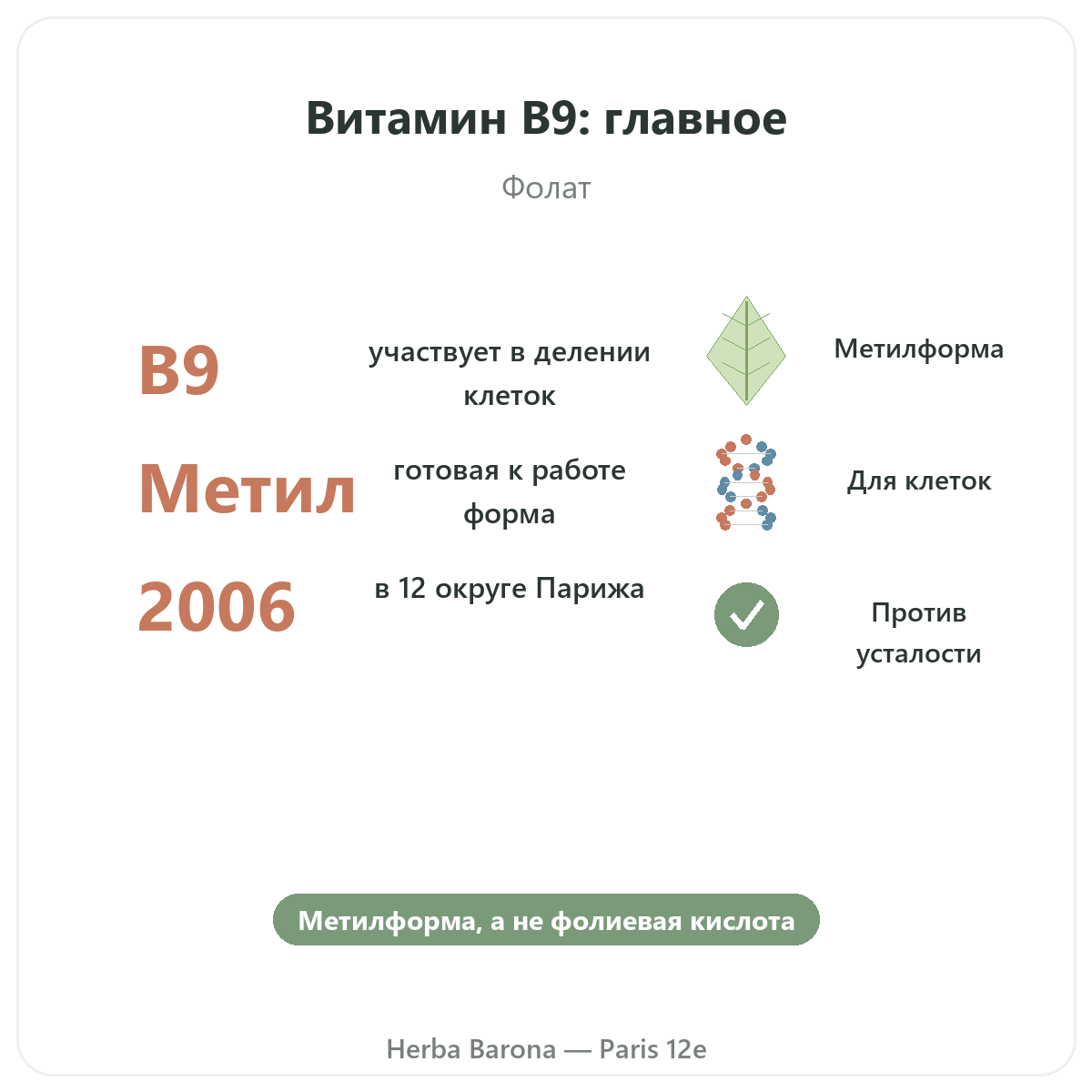 Витамин B9 Париж, Париж — кратко, ключевые цифры в Herba Barona, Париж, 12-й округ