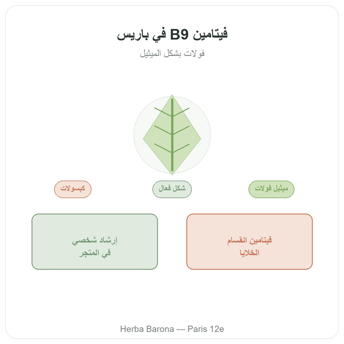 فيتامين ب9 في باريس - تقديم لدى Herba Barona باريس 12