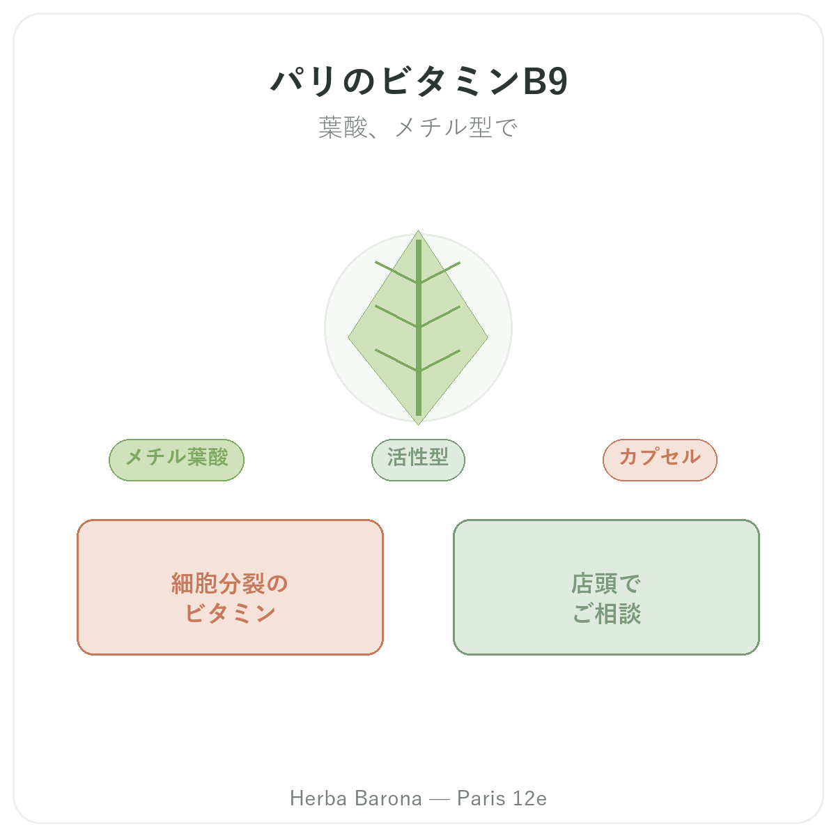 ビタミンB9 パリ - Herba Baronaパリ12区でのブランド紹介