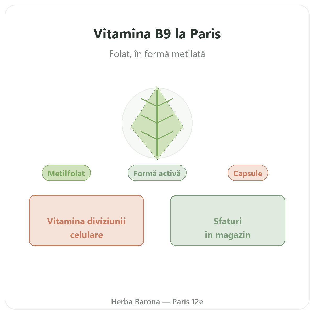 Vitamina B9 Paris - prezentarea mărcii la Herba Barona Paris, arondismentul 12