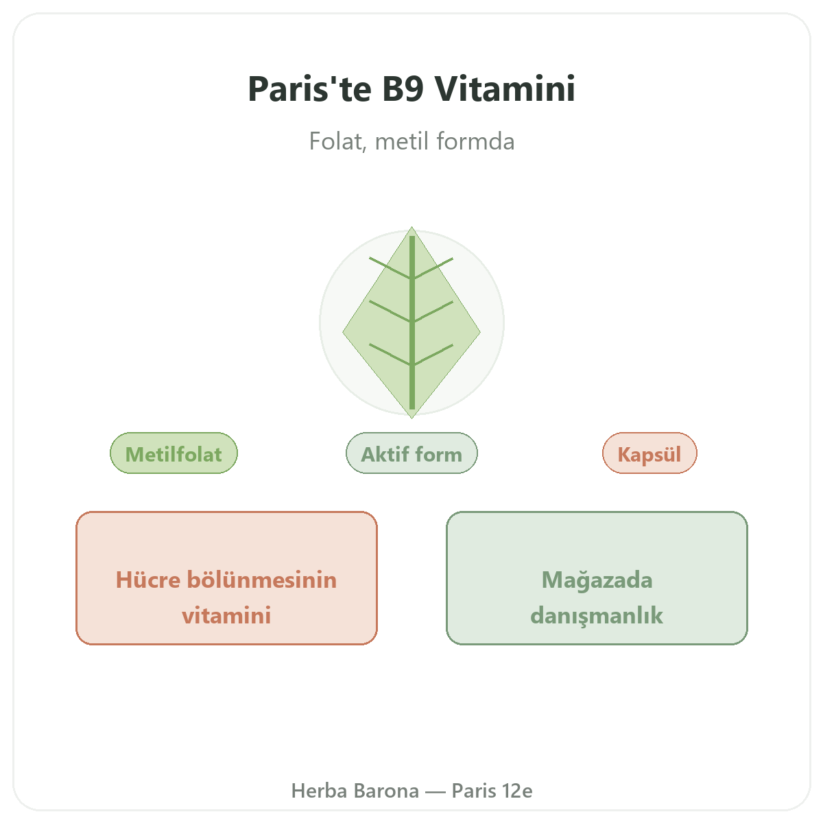 Vitamin B9 Herba Barona Paris tanıtımı