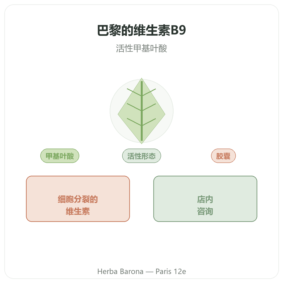 维生素B9 巴黎 - Herba Barona巴黎12区品牌介绍