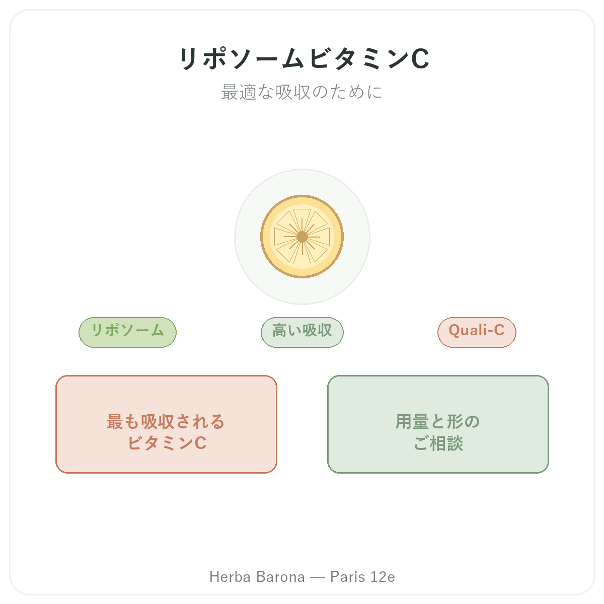 リポソームビタミンC パリ - Herba Barona パリ12区でのブランド紹介