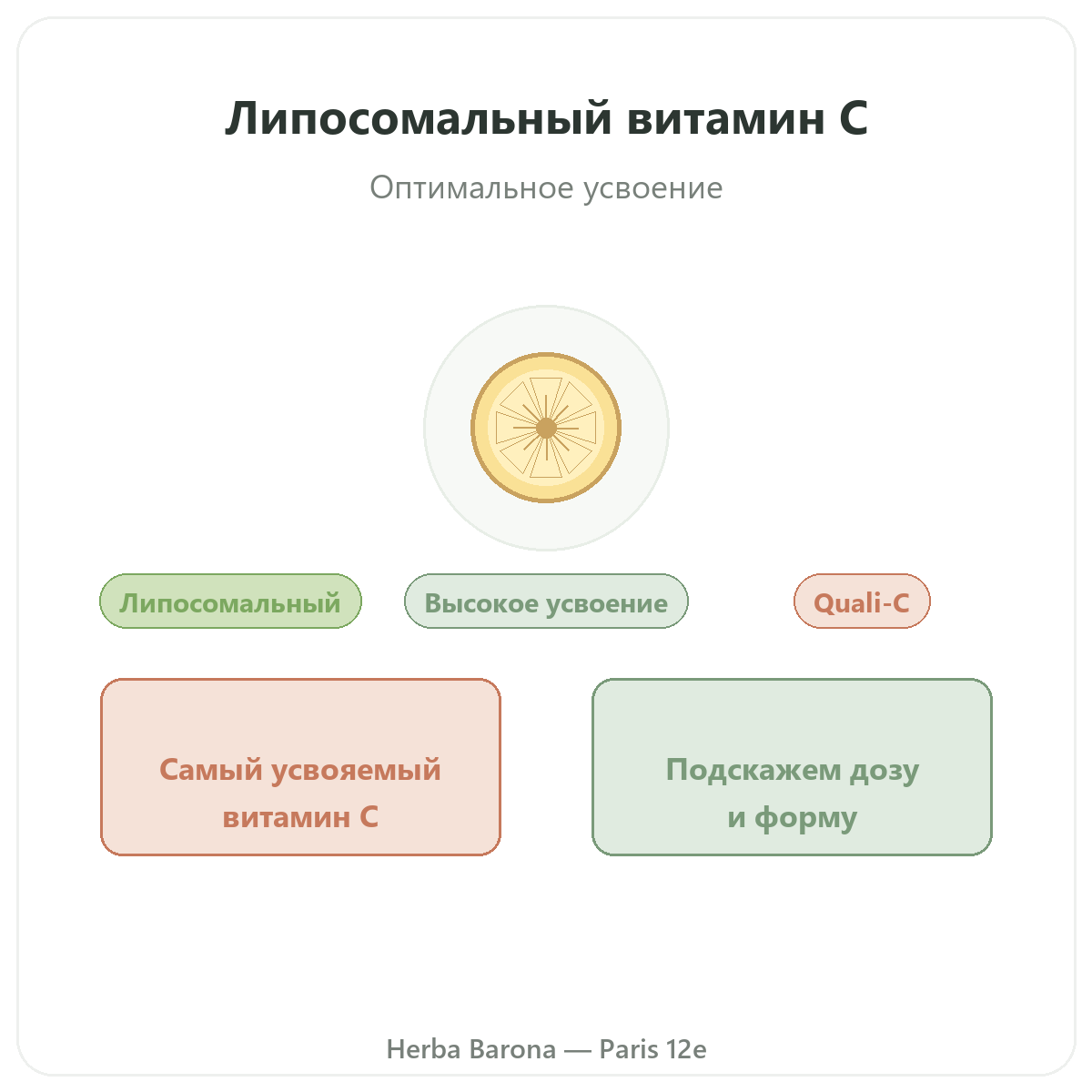 Липосомальный витамин C Париж Париж — презентация бренда в Herba Barona Париж, 12-й округ