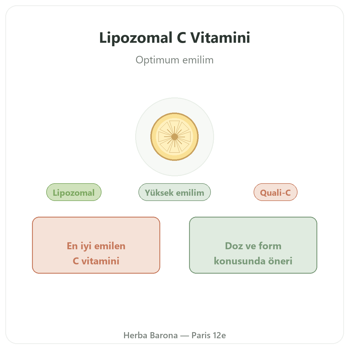 Paris’te Lipozomal C Vitamini - Herba Barona Paris 12. bölgede marka tanıtımı