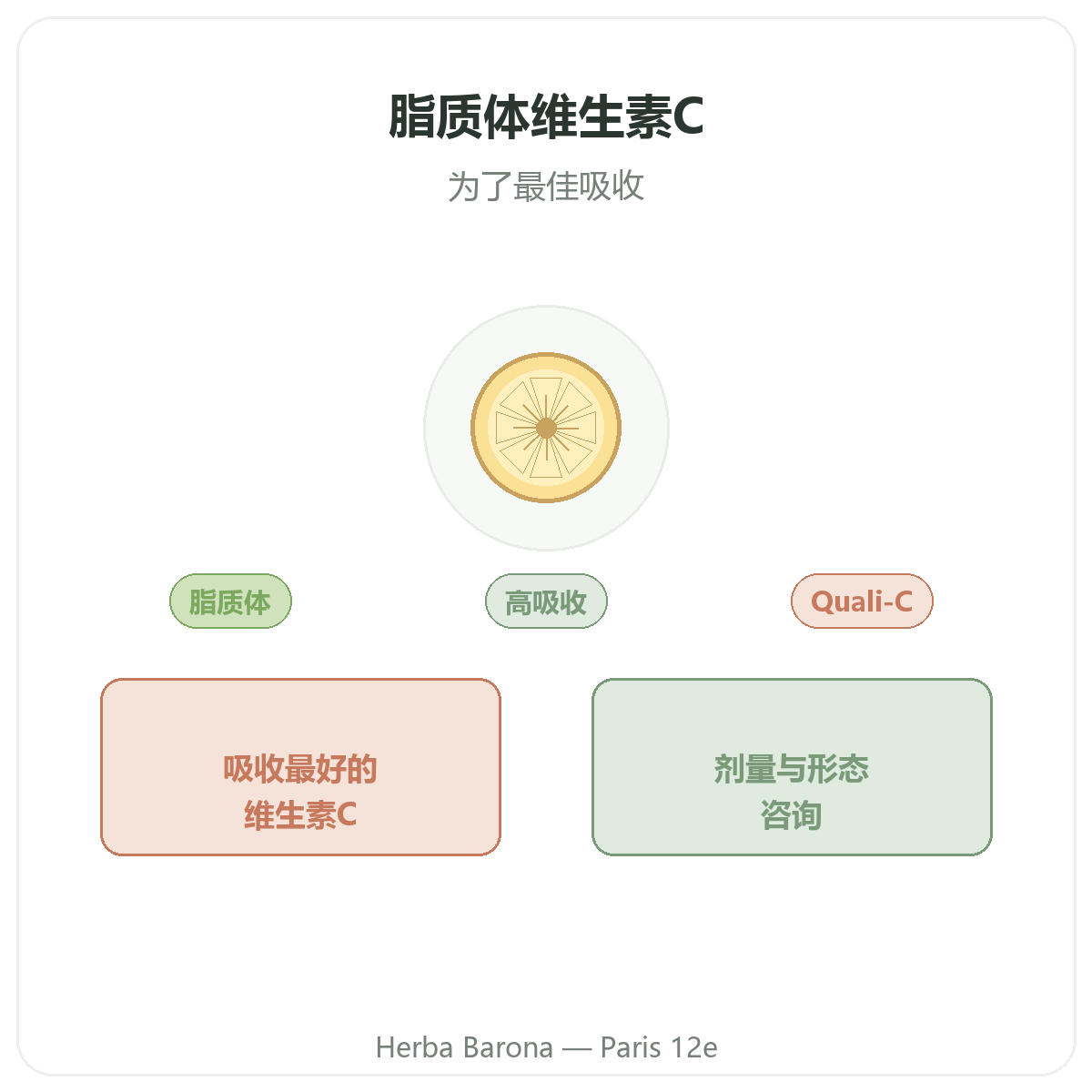 脂质体维生素C 巴黎 - Herba Barona Paris 12e 品牌介绍