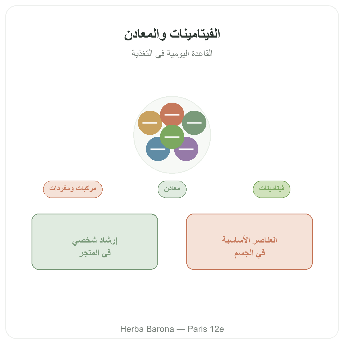 الفيتامينات والمعادن في باريس - تقديم الفئة لدى Herba Barona باريس 12