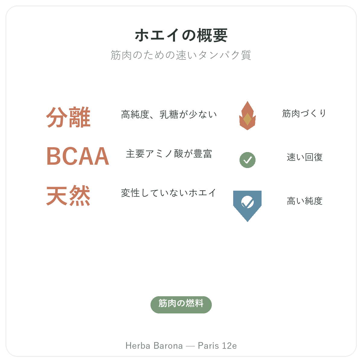 ホエイプロテイン アイソレート パリ 概要 - Herba Baronaパリ12区での主要データ