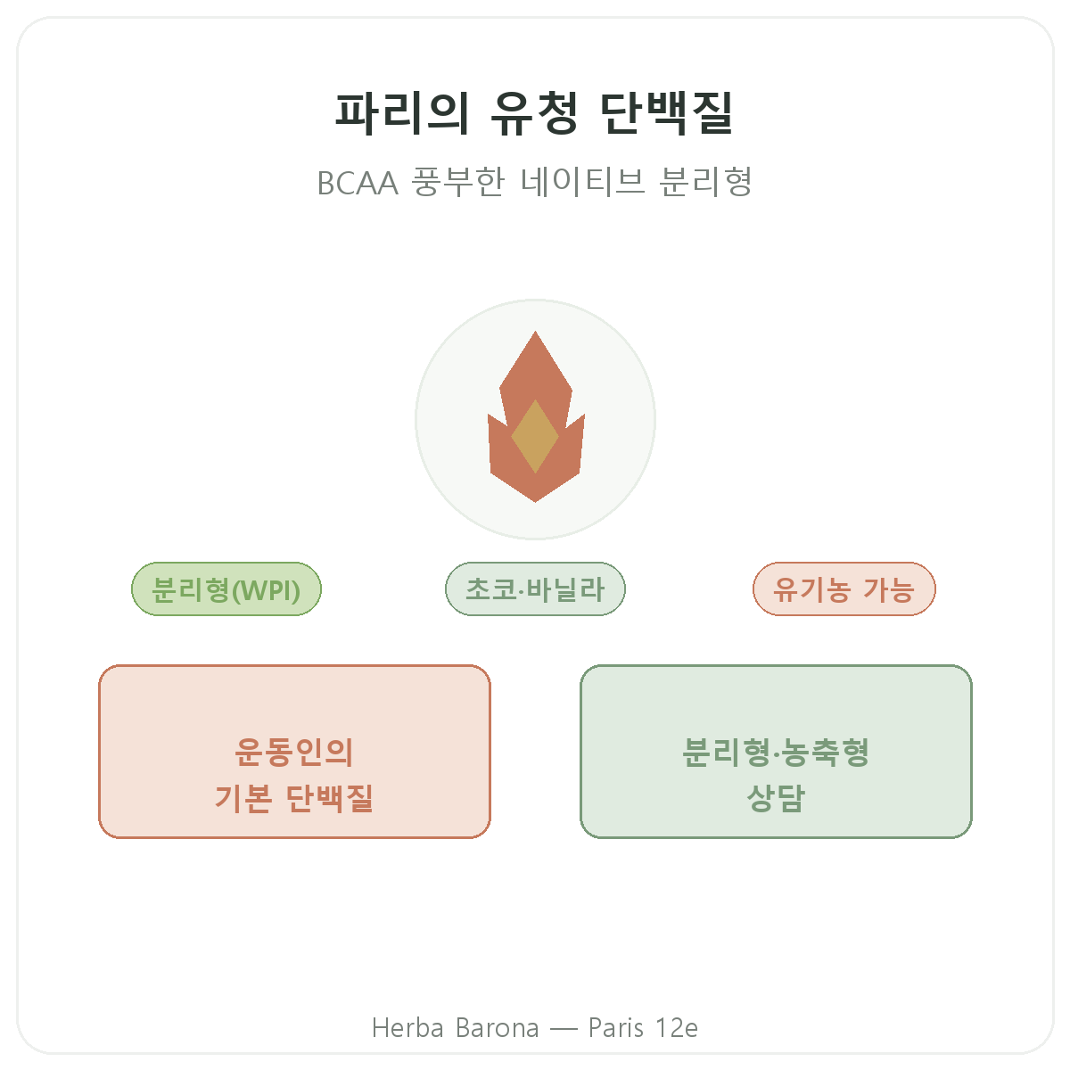 파리 웨이 프로틴 아이솔레이트 - Herba Barona 파리 12구 브랜드 소개