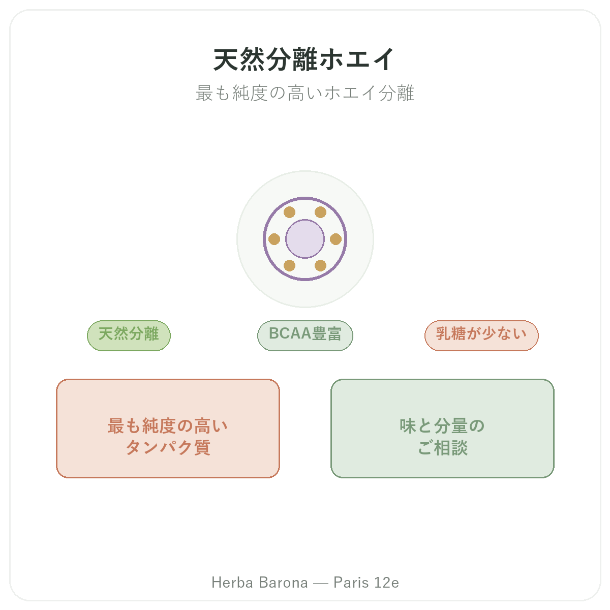 ホエイネイティブアイソレート パリ - ブランド紹介 Herba Barona パリ12区