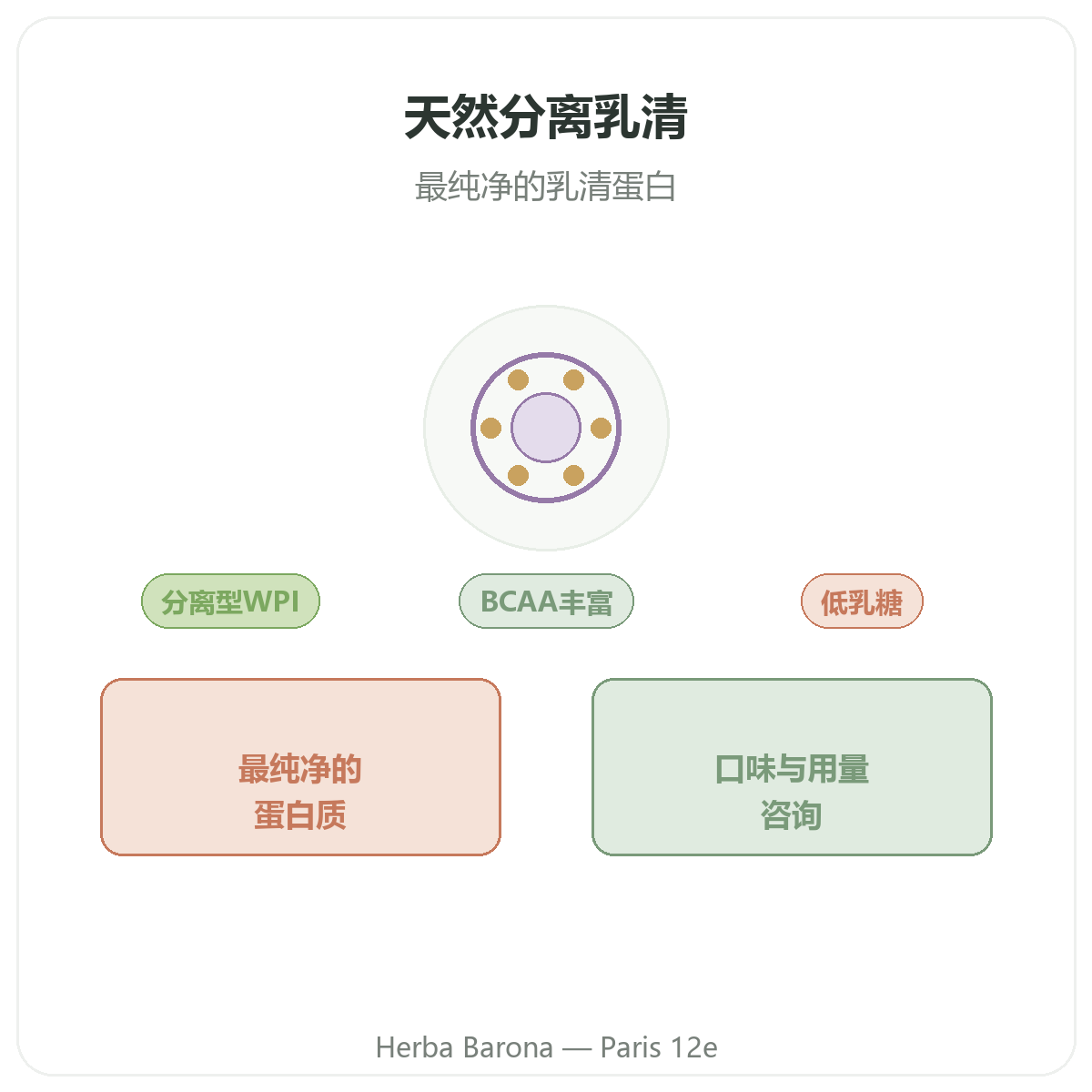 天然分离乳清蛋白 巴黎 - Herba Barona 巴黎12区品牌介绍