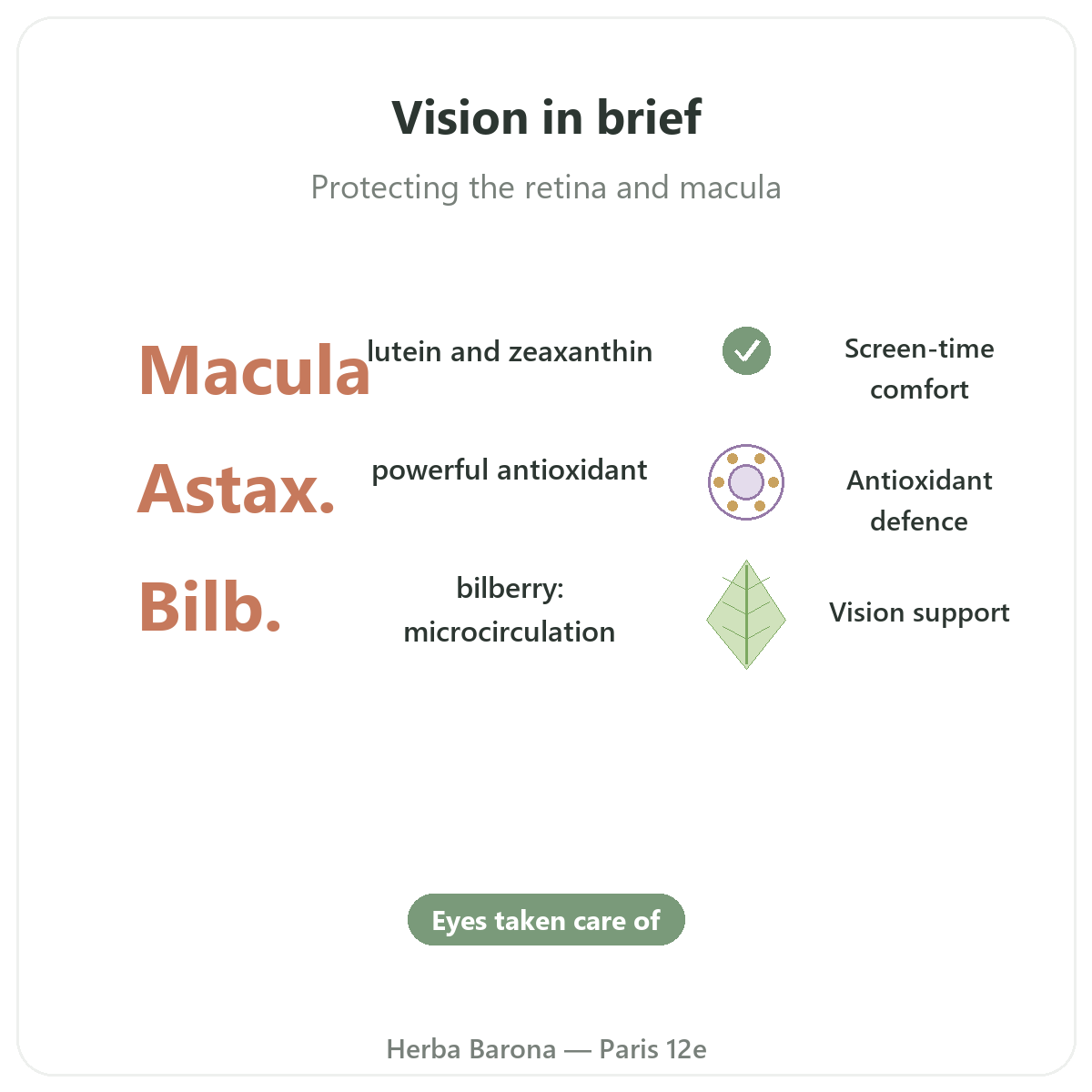 Eyes & Vision in Paris at a glance - key facts at Herba Barona Paris 12e