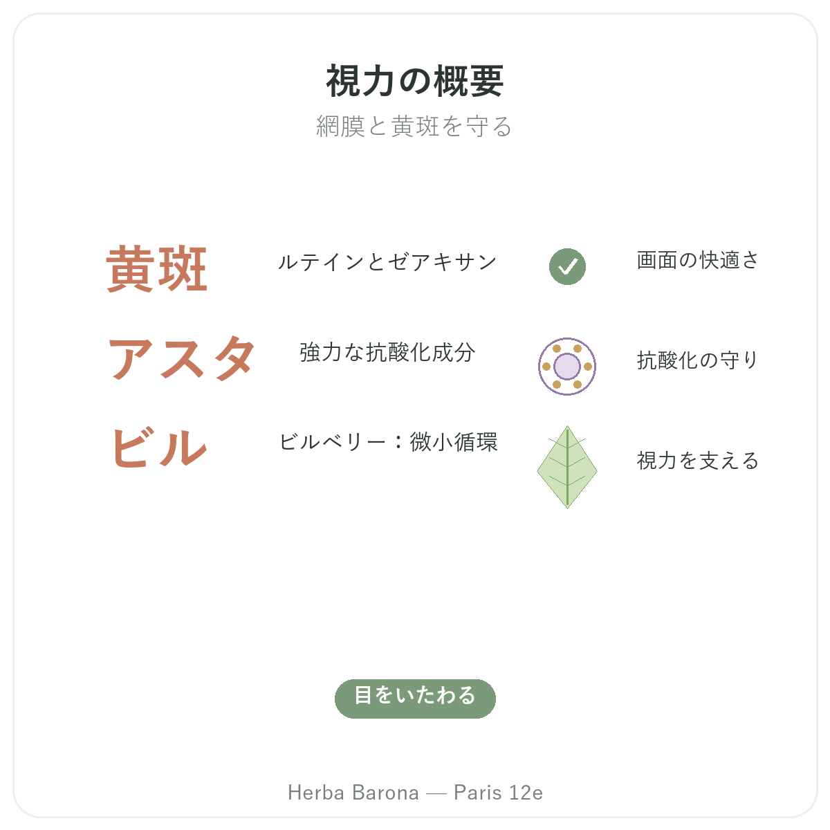 目・視力サポート パリ まとめ-主要データ Herba Barona パリ12区