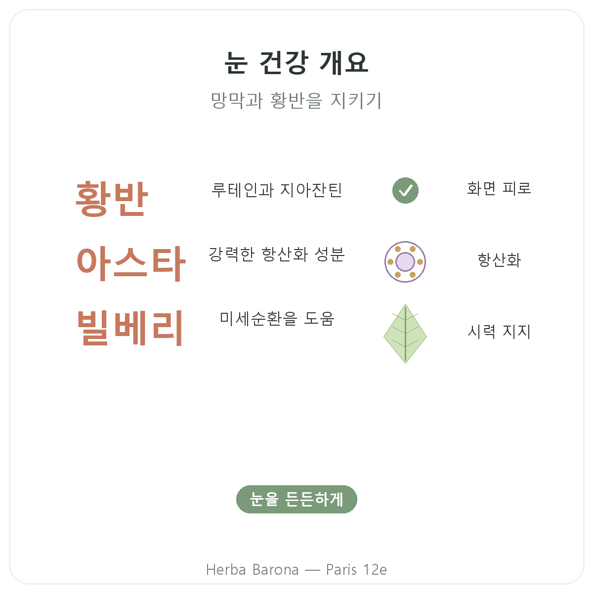 파리 눈 건강·시력 편안함 요약 - Herba Barona 파리 12구 핵심 수치