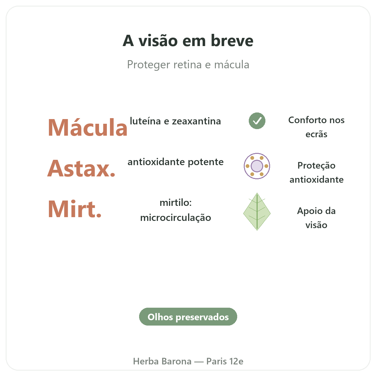 Olhos, conforto visual em Paris em resumo - dados-chave na Herba Barona Paris 12e