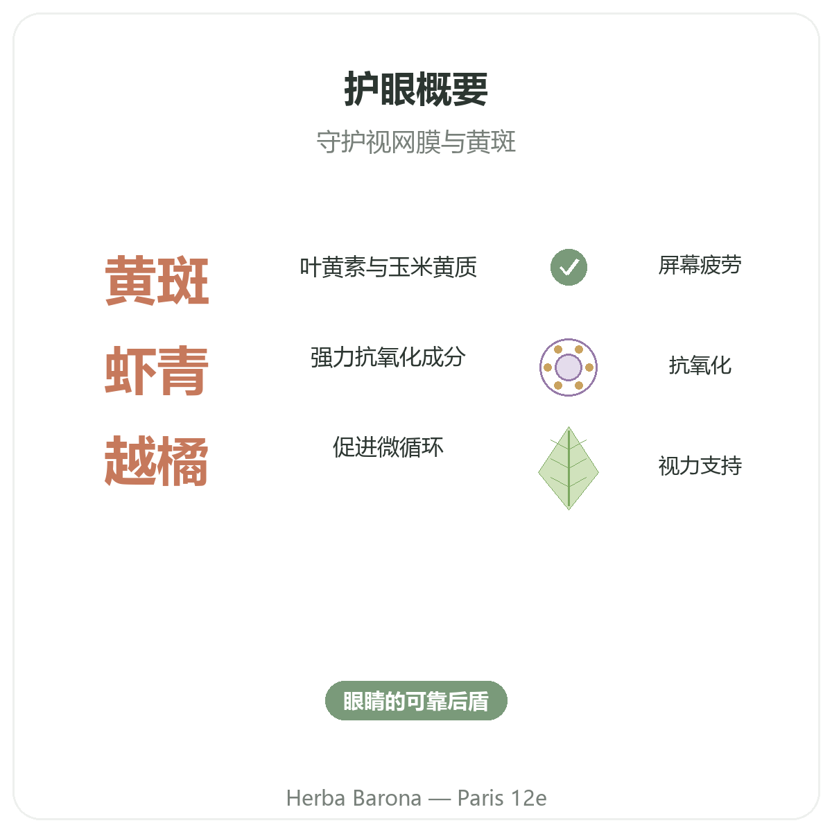 眼部与视觉舒适 巴黎概览 - Herba Barona 巴黎12区关键数据