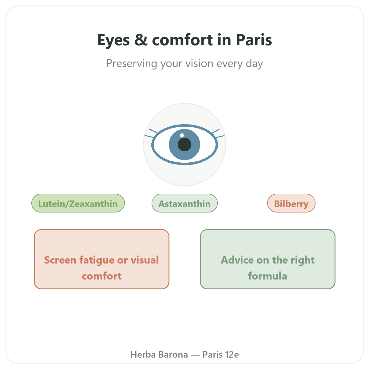 Eyes & Vision in Paris - category overview at Herba Barona Paris 12e