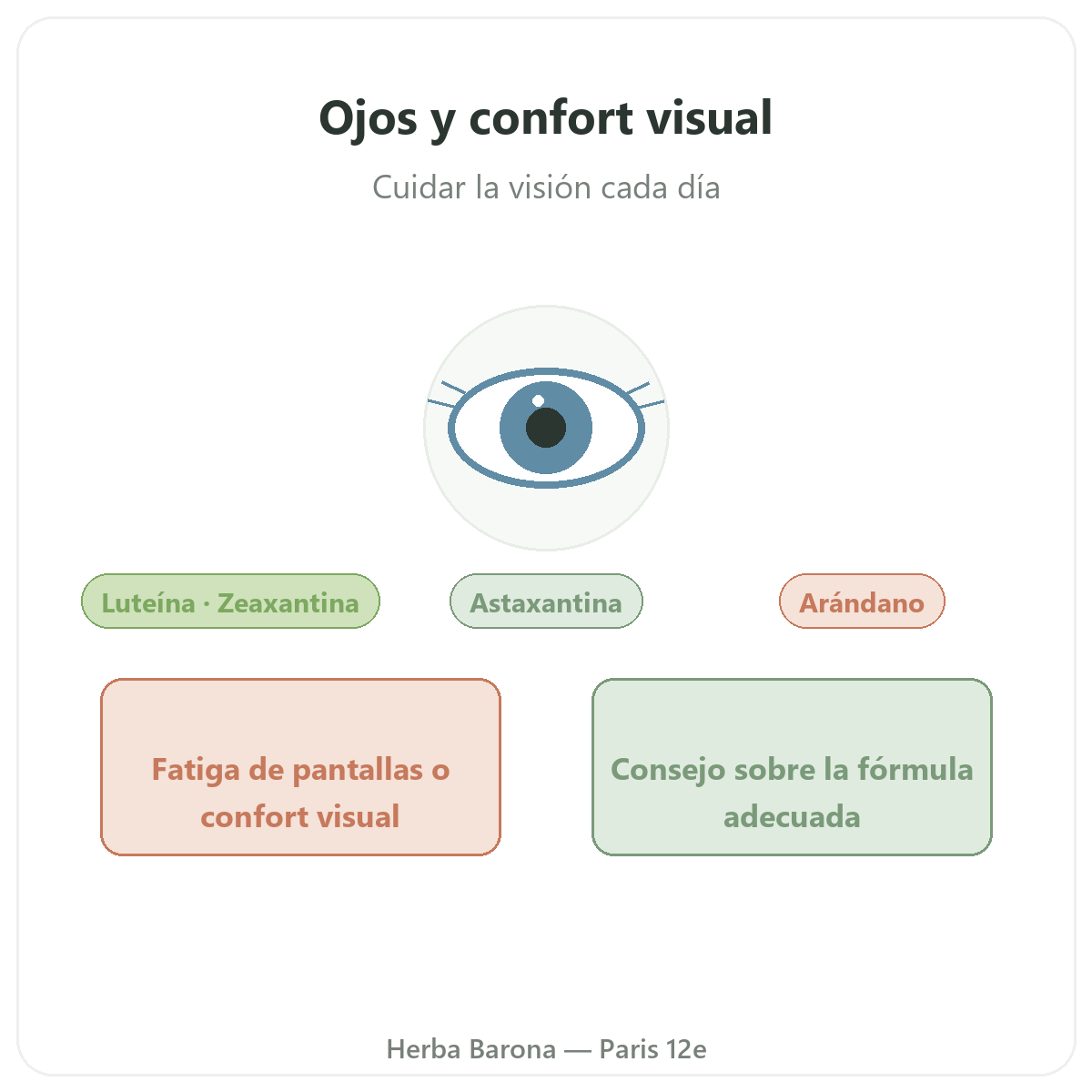 Ojos y confort visual en París - presentación de la marca en Herba Barona París 12e