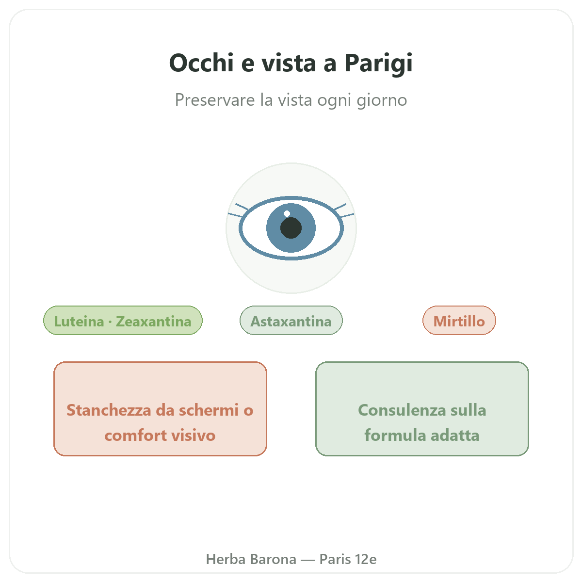 Occhi comfort visivo Parigi - presentazione del marchio da Herba Barona Parigi 12e