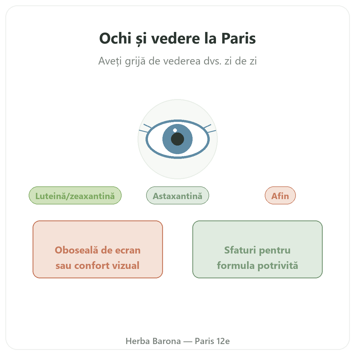 Ochi, confort vizual Paris - prezentarea mărcii la Herba Barona Paris, arondismentul 12