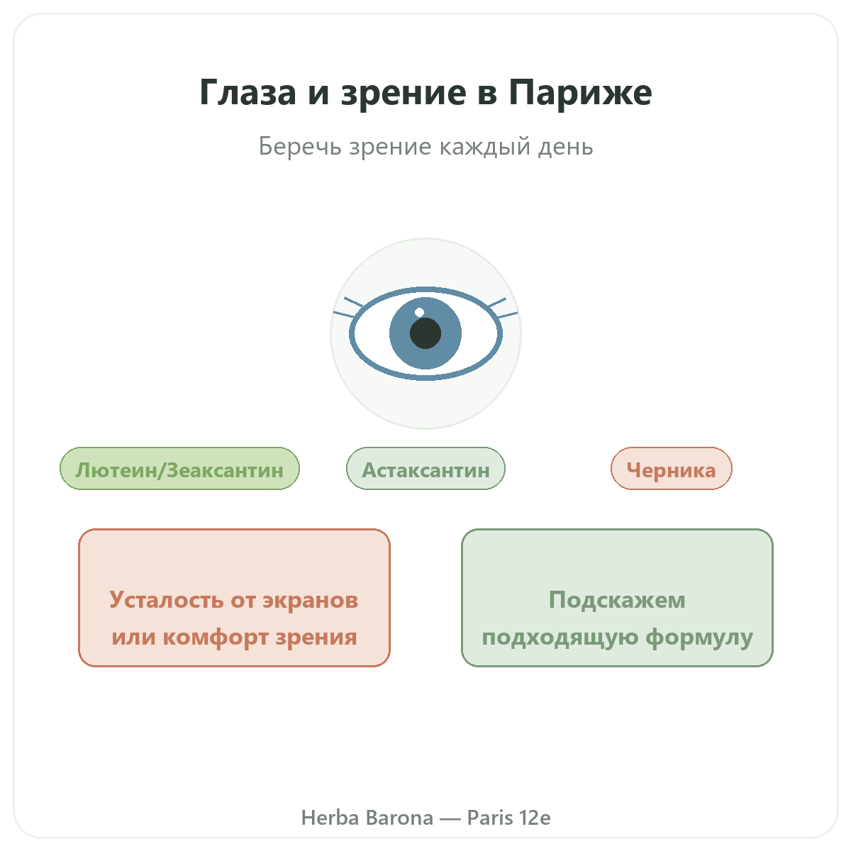 Глаза, зрительный комфорт Париж — презентация в Herba Barona Париж, 12-й округ