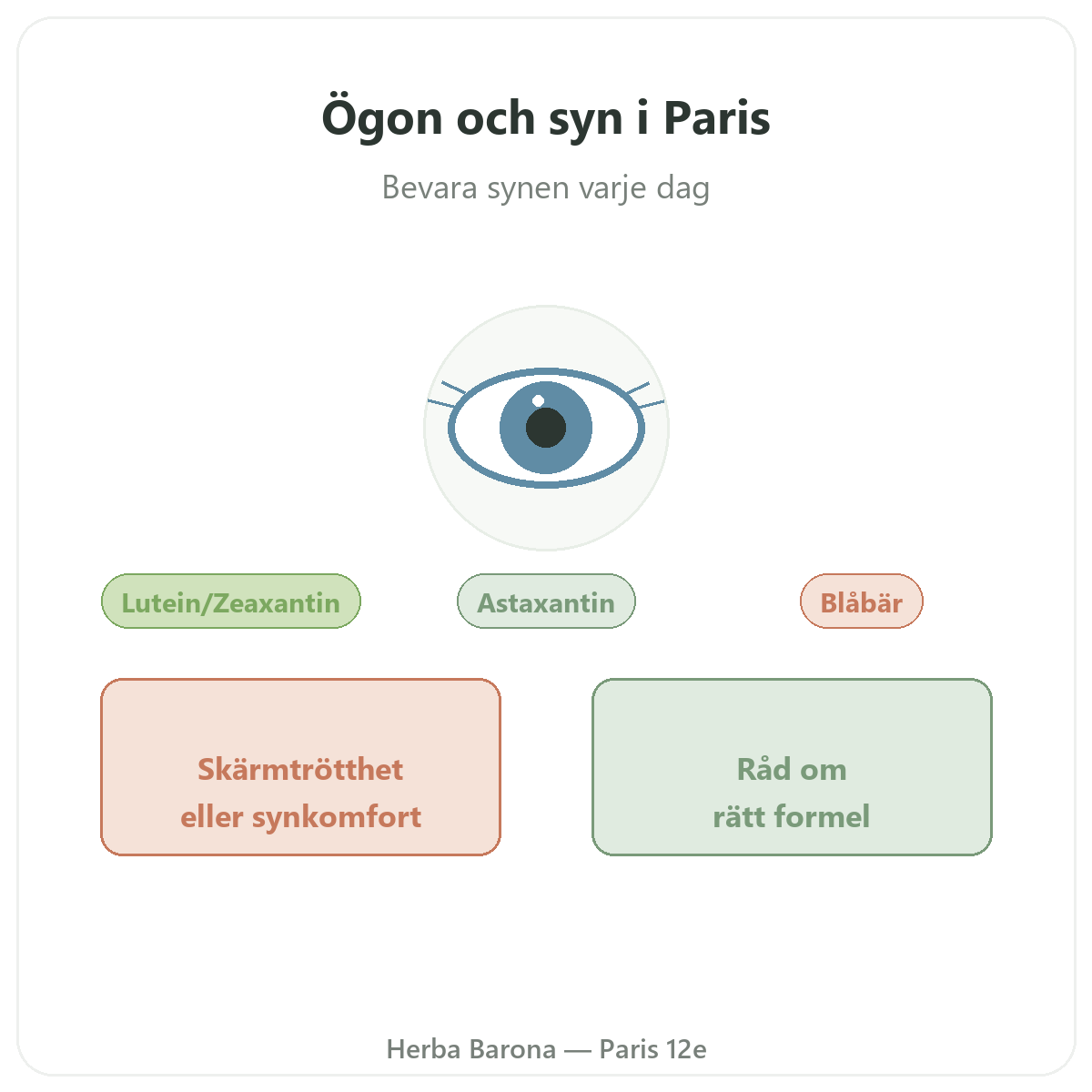 Ögon, synkomfort Paris – presentation av varumärket hos Herba Barona Paris 12e
