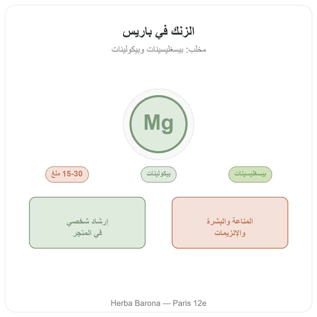 الزنك في باريس - لدى Herba Barona باريس 12