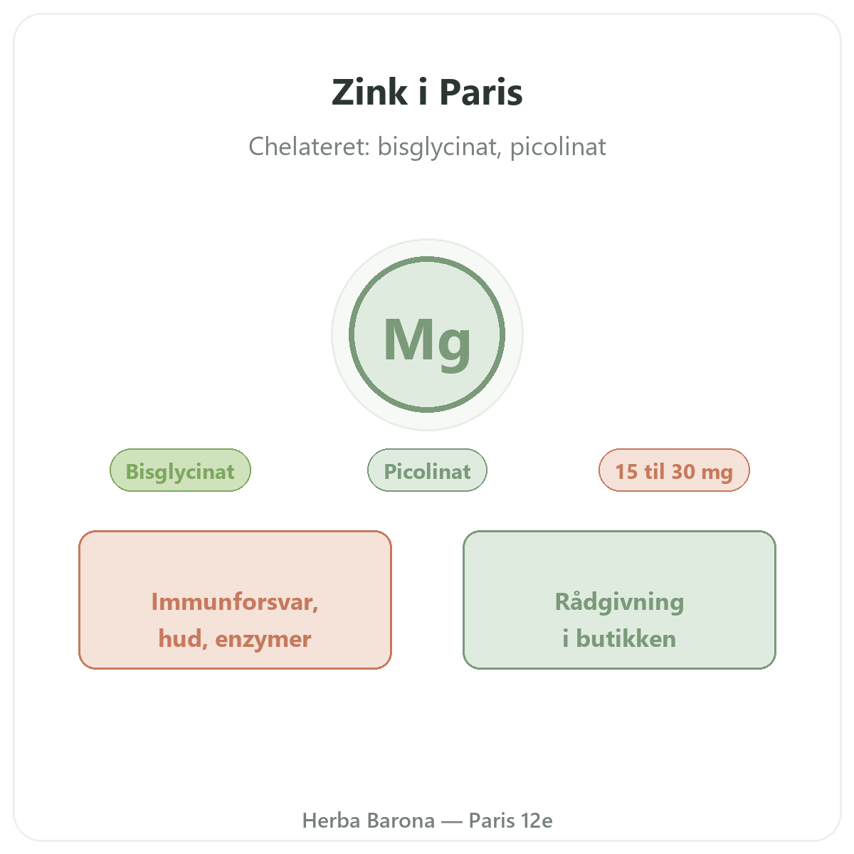 Zink i Paris - hos Herba Barona Paris 12