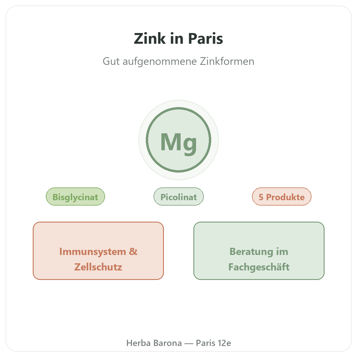 Zink in Paris - bei Herba Barona Paris 12e