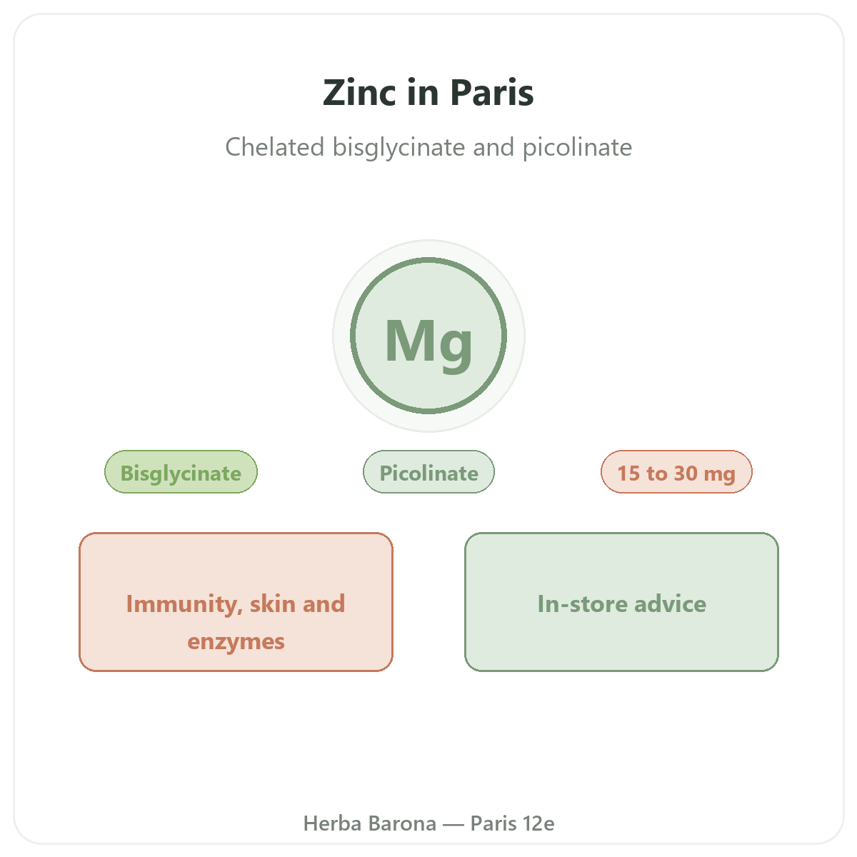 Zinc a Paris - chez Herba Barona Paris 12e